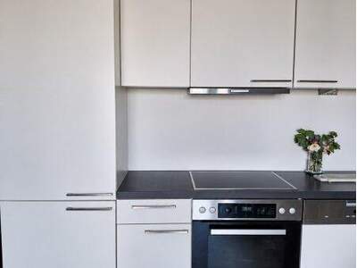 Terrassenwohnung mieten in 1020 Wien (Bild 3)