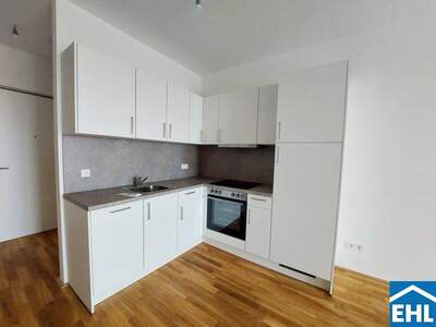 Terrassenwohnung mieten in 1110 Wien (Bild 3)