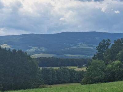 Grundstück kaufen in 8230 Hartberg