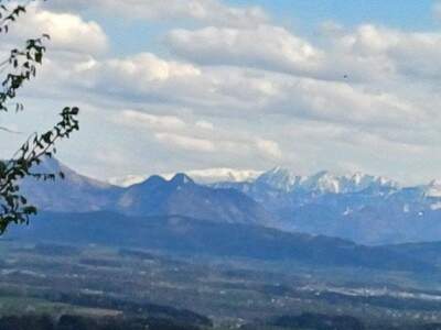 Grundstück kaufen in 4902 Wolfsegg (Bild 2)