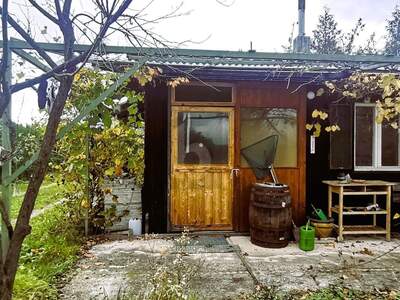 Gewerbeobjekt kaufen in 7064 Oslip (Bild 3)