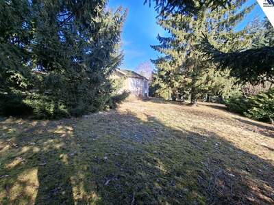 Gewerbeobjekt kaufen in 4060 Leonding (Bild 5)