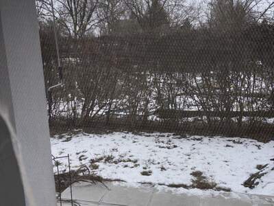 Wohnung mieten in 4063 Hörsching (Bild 4)