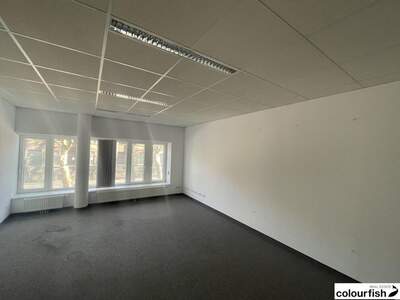 Gewerbeobjekt mieten in 1200 Wien (Bild 5)