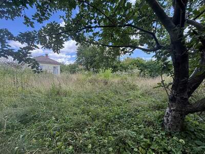 Grundstück kaufen in 1210 Wien