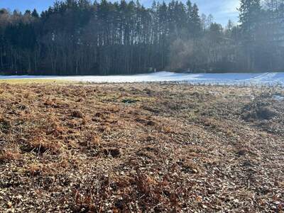 Grundstück kaufen in 9220 Schiefling (Bild 4)