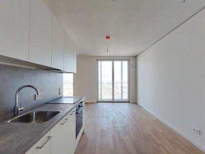 Terrassenwohnung mieten in 1220 Wien (Bild 1)