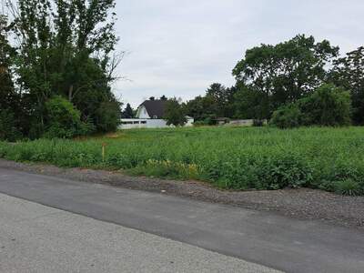 Grundstück kaufen in 2301 Mühlleiten