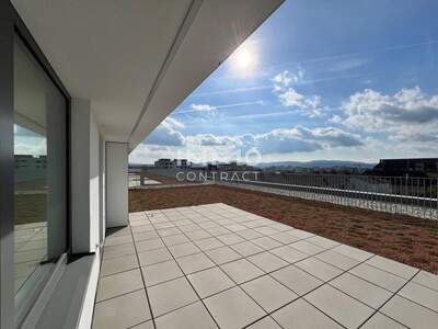 Terrassenwohnung kaufen in 3500 Krems