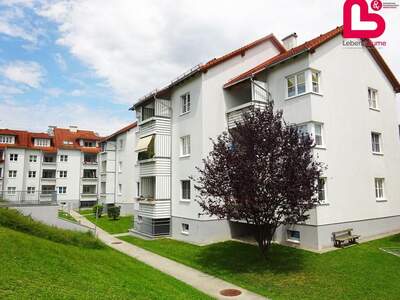 Wohnung mieten in 4563 Micheldorf (Bild 5)