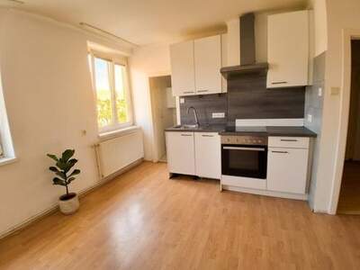 Wohnung mieten in 3950 Gmünd