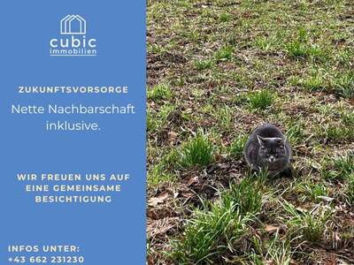 Grundstück kaufen in 5120 Sankt Pantaleon (Bild 2)