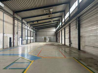 Gewerbeobjekt mieten in 7053 Hornstein (Bild 5)