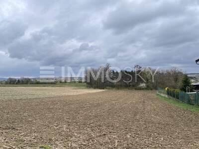 Grundstück kaufen in 3452 Atzenbrugg (Bild 3)