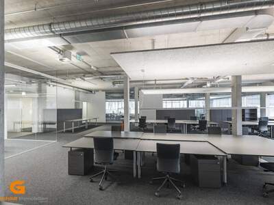 Gewerbeobjekt mieten in 5081 Anif