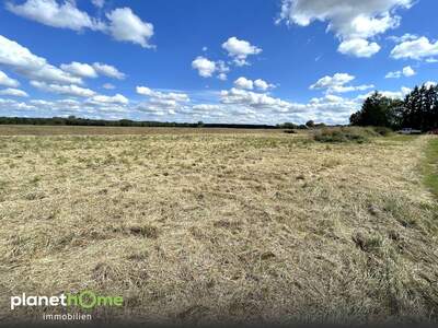 Grundstück kaufen in 7474 Deutsch Schützen (Bild 4)