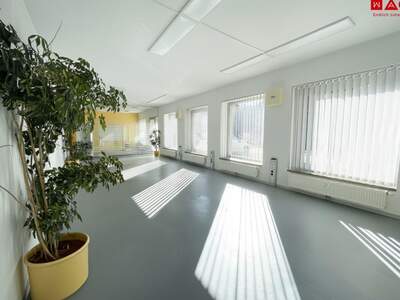 Office / Business mieten in 8790 Steiermark