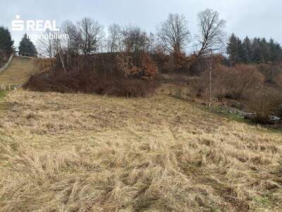 Grundstück kaufen in 8224 Hofkirchen (Bild 1)