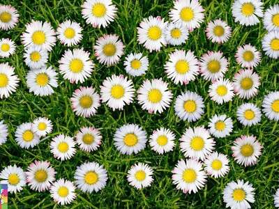 Mietwohnung in 3500 Krems