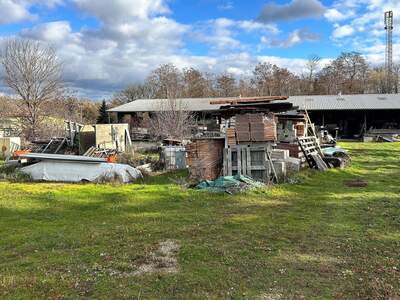 Haus mit Garten kaufen in 2054 Kleinhaugsdorf (Bild 5)