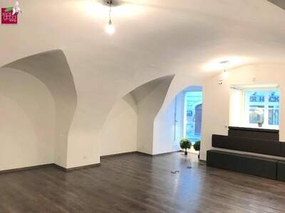 Gewerbeobjekt mieten in 1010 Wien