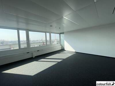 Gewerbeobjekt mieten in 1220 Wien (Bild 3)