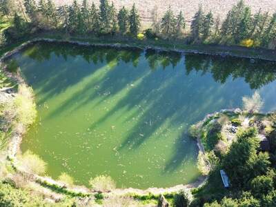 Gewerbeobjekt kaufen in 3372 Blindenmarkt