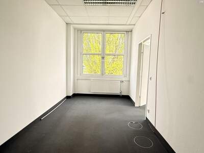 Gewerbeobjekt mieten in 2320 Schwechat (Bild 4)