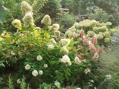 Grundstück kaufen in 1190 Wien (Bild 4)