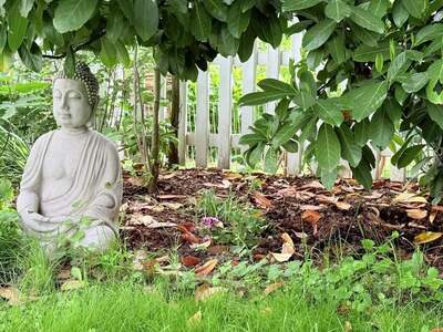 Haus kaufen in 1230 Wien