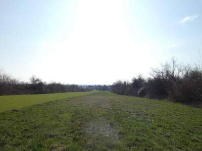 Grundstück kaufen in 7091 Breitenbrunn