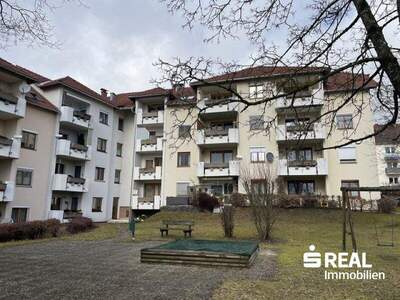 Terrassenwohnung kaufen in 4150 Rohrbach (Bild 2)