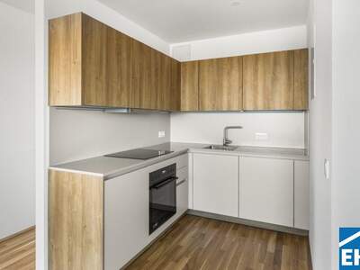 Terrassenwohnung mieten in 1200 Wien (Bild 2)