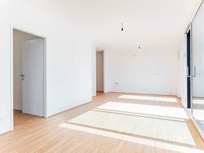 Terrassenwohnung mieten in 1220 Wien (Bild 4)