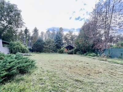 Grundstück kaufen in 2700 Wiener Neustadt