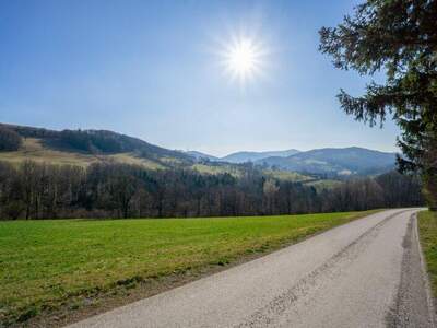 Einfamilienhaus kaufen in 3053 Laaben (Bild 2)