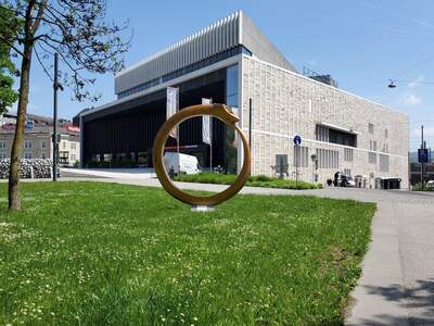 Gewerbeobjekt mieten in 4020 Linz (Bild 2)