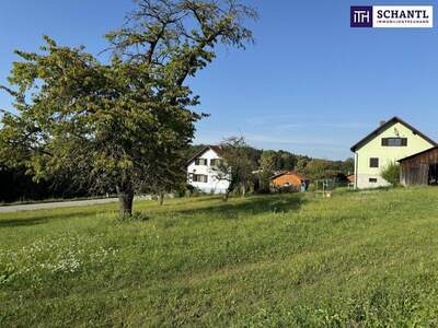 Grundstück kaufen in 8074 Grambach (Bild 1)