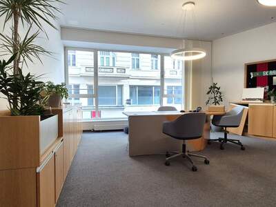 Gewerbeobjekt mieten in 1070 Wien (Bild 2)