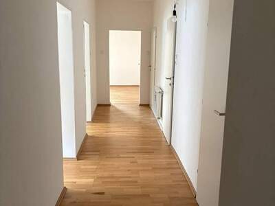 Wohnung provisionsfrei mieten in 8010 Graz