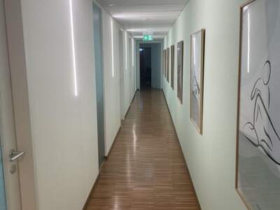 Gewerbeobjekt mieten in 1190 Wien (Bild 2)