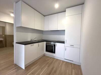 Wohnung mieten in 1220 Wien