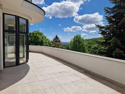 Haus mit Garten kaufen (Bild 3)