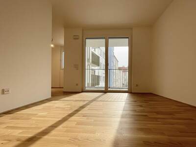 Terrassenwohnung mieten in 1110 Wien (Bild 4)