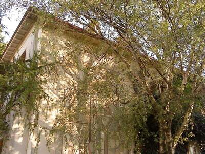 Wohnung mieten in 3430 Tulln (Bild 3)