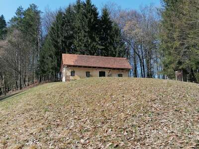 Gewerbeobjekt kaufen in 8461 Ehrenhausen (Bild 1)