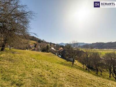 Grundstück kaufen in 8121 Prenning