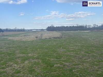 Grundstück kaufen in 8472 Vogau