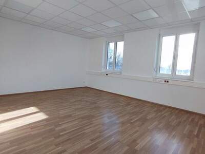 Büro / Praxis mieten in 2544 Leobersdorf (Bild 5)