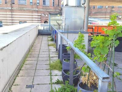 Gewerbeobjekt mieten in 1110 Wien (Bild 2)